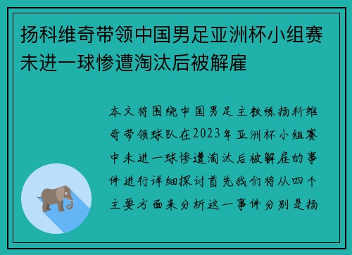 扬科维奇带领中国男足亚洲杯小组赛未进一球惨遭淘汰后被解雇